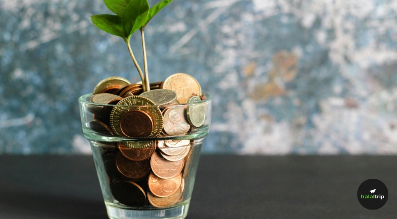 What's the Difference Between all the Zakats?
