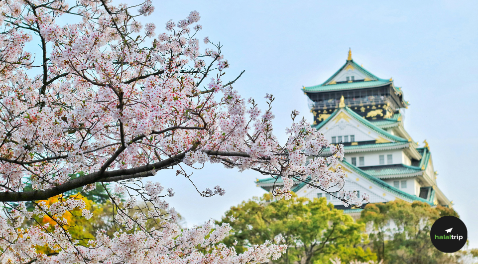 Top 10 Things You Have To Do in Japan