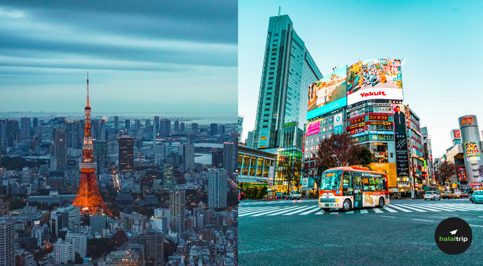 5 Productive Days in Japan for Muslim Travelers: Thrift Finds, Halal Eats & Must-Do Moments in Osaka & Tokyo