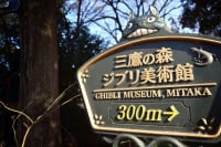 Muslim-Friendly Studio Ghibli Lovers’ Guide to Japan