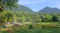 The Soul of Kuching: From Semenggoh’s Rainforest to Sarawak’s Living Heritage