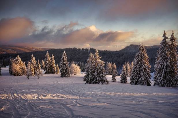 Black Forest Schwarzwald Winter Germany