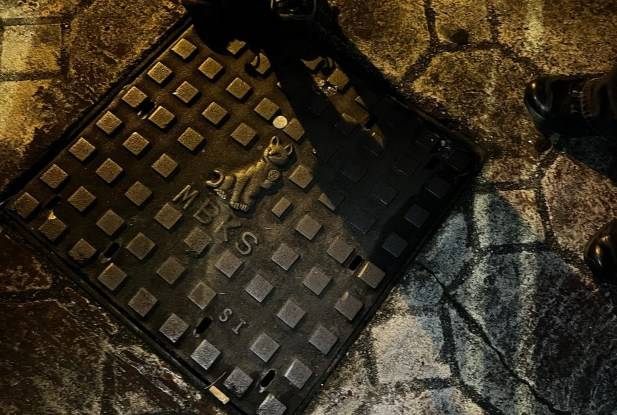 Cat Drain Covers in Kuching Sarawak