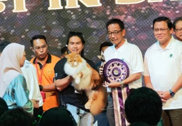International Cat Festival in Kuching Sarawak