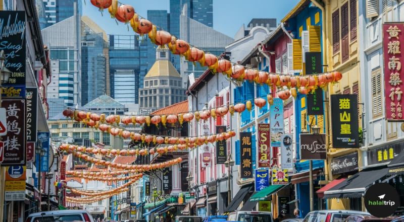 A Global Culinary Tour: International Halal Food Spots in Singapore