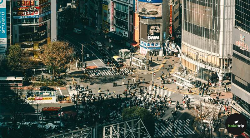 The Zen in the Crowd: Navigating Shibuya’s Icons and Halal Gems with Ease