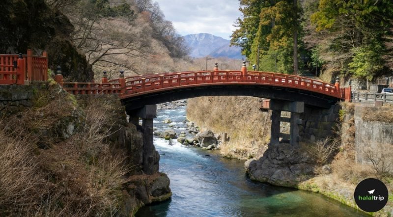 Your First Muslim-Friendly Japan Trip: Start with Tobu & Nikko