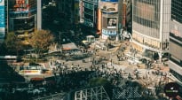 The Zen in the Crowd: Navigating Shibuya’s Icons and Halal Gems with Ease