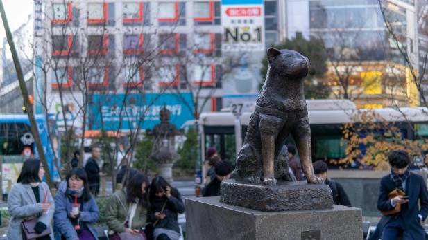 Hachiko Statue Shibuya Japan