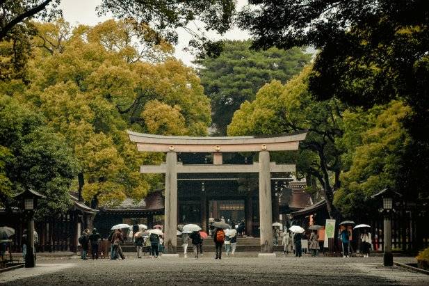 Meiji Shrine Shibuya Japan
