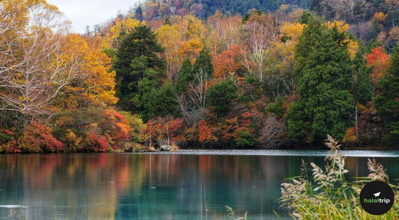 A Muslim Family’s Weekend Escape: Tokyo to Nikko by Tobu Railway