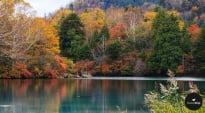 A Muslim Family’s Weekend Escape: Tokyo to Nikko by Tobu Railway