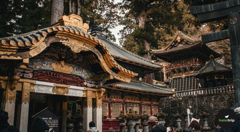 Exploring Japan’s Heritage with Peace of Mind: Muslim-Friendly Spots in Nikko