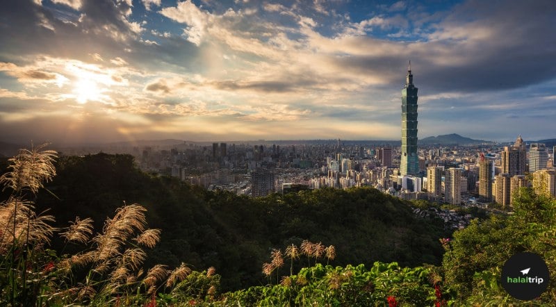 Taipei’s Scenic Escape: Nature, Views & Wellness for Muslim Travelers