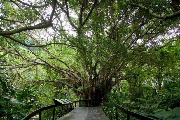 Zhishan Cultural and Ecological Garden Taipei Taiwan Muslim-friendly