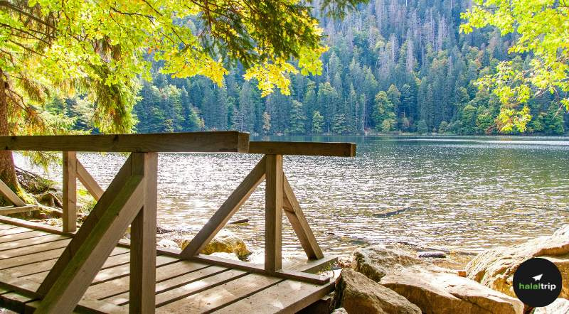 Exploring Germany’s Breathtaking Nature: A Complete Guide for Muslim Travelers