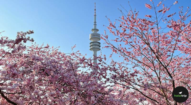 Springtime Serenity: 10 Stunning German Gardens for Your Next Halal-Friendly Escape