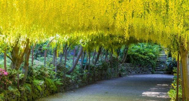 Bodnant Garden Conwy UK