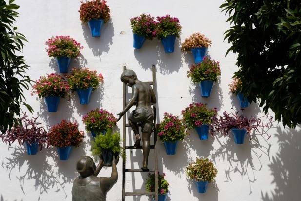 Flower Patios in Cordoba Spain