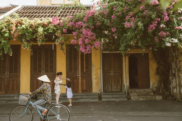 Hoi An Bougainvillea Flowers Vietnam