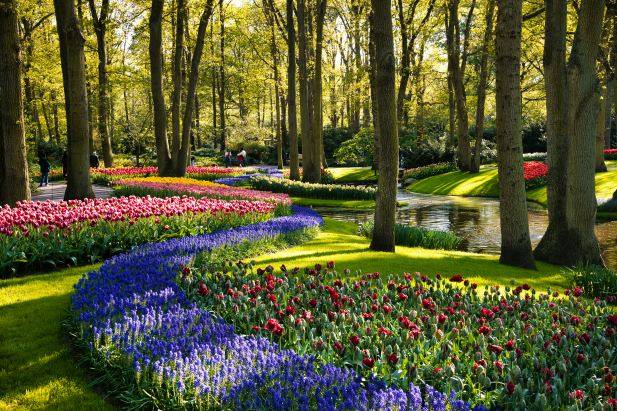 Keukenhof Garden Lisse Netherlands