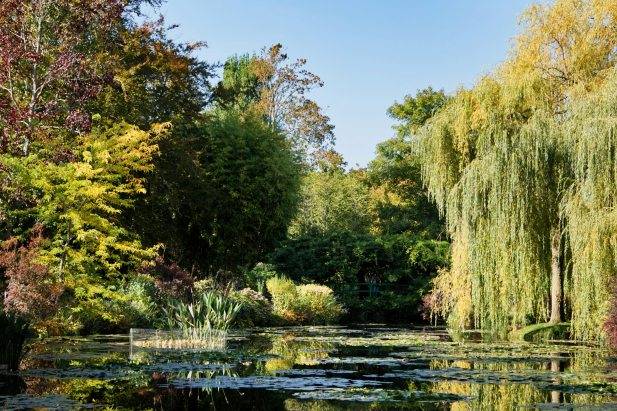Monet's Garden Giverny France
