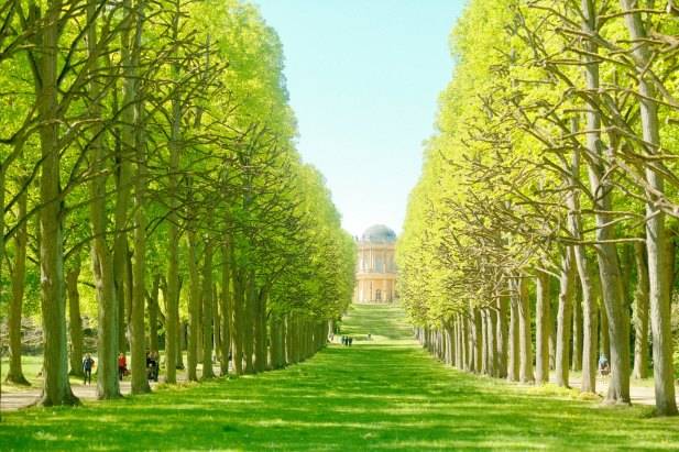 Sanssouci Park Potsdam Germany