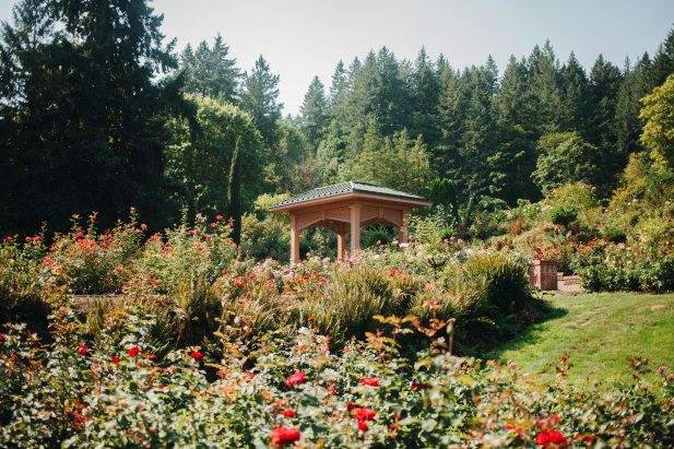 The International Rose Test Garden Portland USA