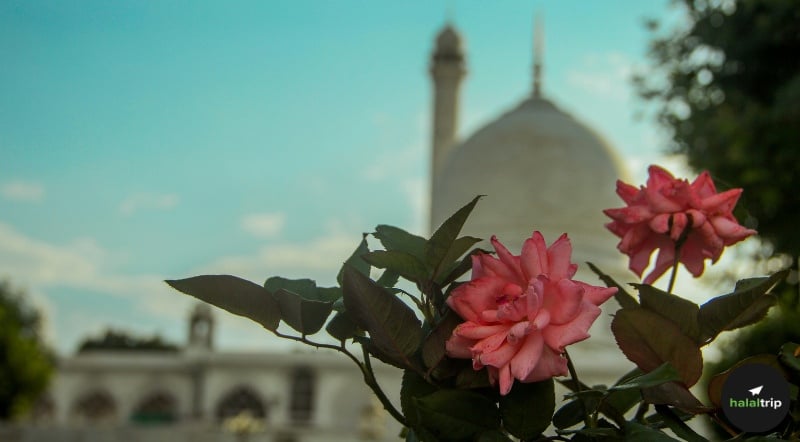 Farewell to Dhu al-Qa’dah: Gearing Up for the Best Ten Days of the Year