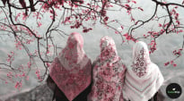 The Quran as the Spring of Our Hearts: Finding Local Sanctuary for Reflection