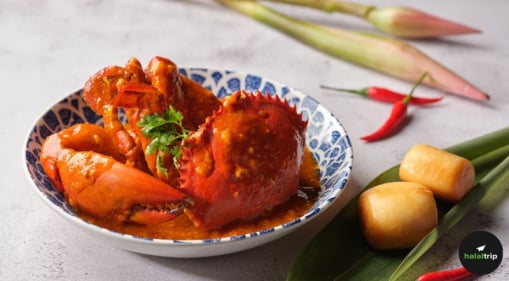 Singapore’s Authentic Table: 7 Must-Visit Halal Spots for Every Foodie