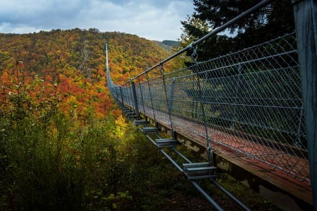Geierlay Suspension Bridge Germany