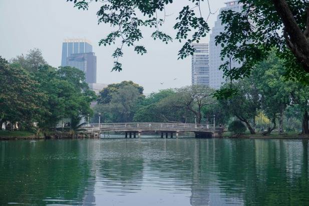 Lumpini Park Bangkok