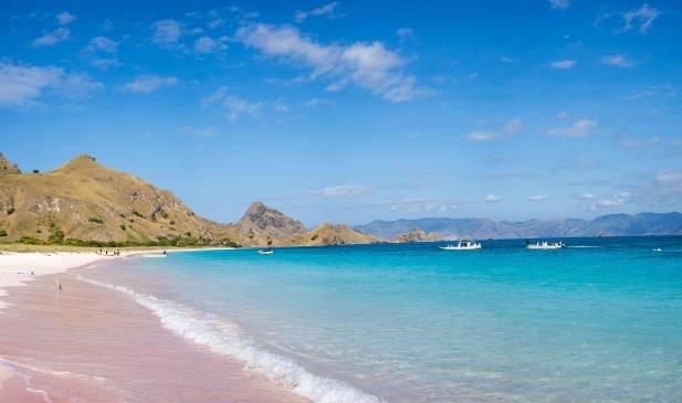 Pink Beach Lombok Indonesia