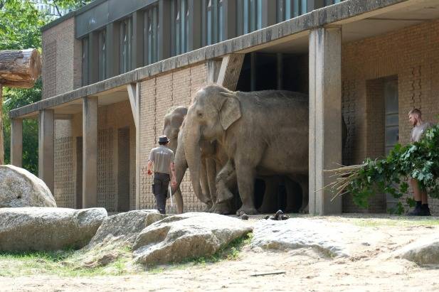 Zoo Berlin Germany