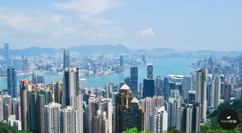 Well-Located, No-Fuss: Hong Kong's Most Reliable Crescent Rated City Bases