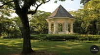 Singapore Urban Discovery: Exploring the Hidden Gems of Novena and Balestier