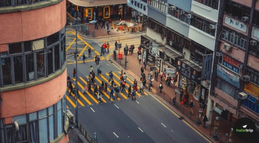Beyond the Tourist Track: Finding the Authentic Soul of Hong Kong’s Stays