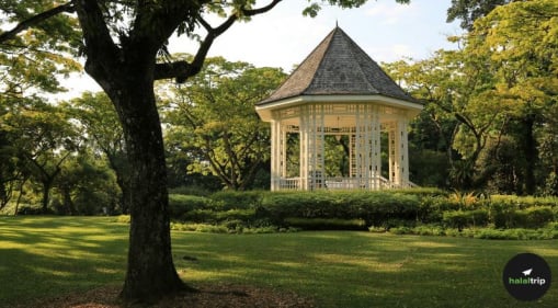 Singapore Urban Discovery: Exploring the Hidden Gems of Novena and Balestier
