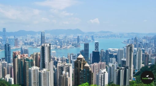 Well-Located, No-Fuss: Hong Kong's Most Reliable Crescent Rated City Bases
