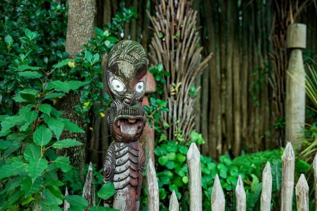 Auckland Maori New Zealand