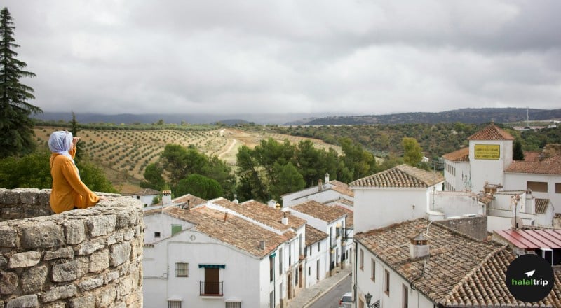 Spain Through the Eyes of the Ummah: A Journey of Reflection and Belonging