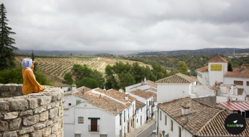 Spain Through the Eyes of the Ummah: A Journey of Reflection and Belonging