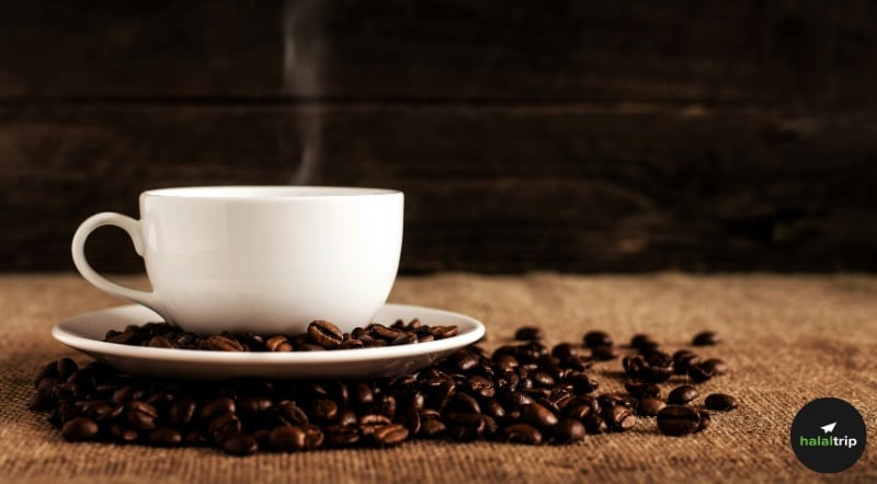 Brewed in Devotion: How Yemen, the Ottomans, and Islamic Heritage Gave Us Coffee Culture