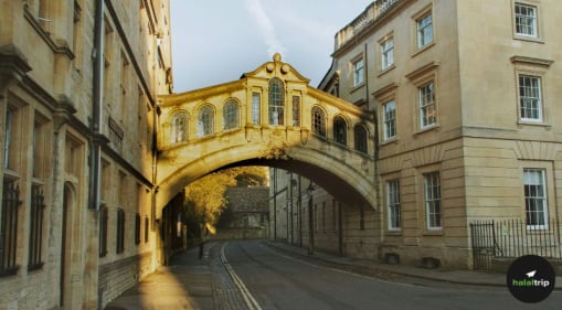 Enjoy a Day Trip in Oxford: Your Muslim-Friendly Guide to Culture, Books, and Halal Dining