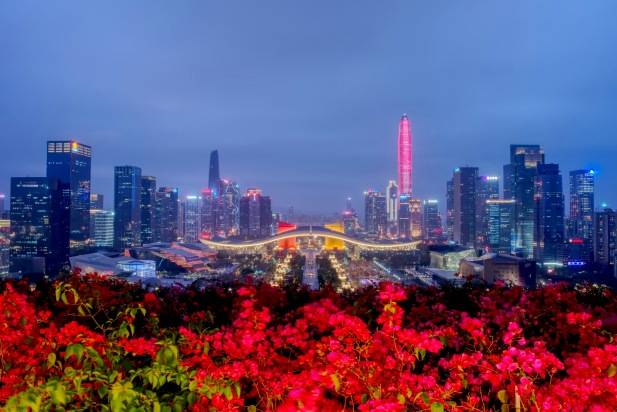 Shenzhen City Cyberpunk